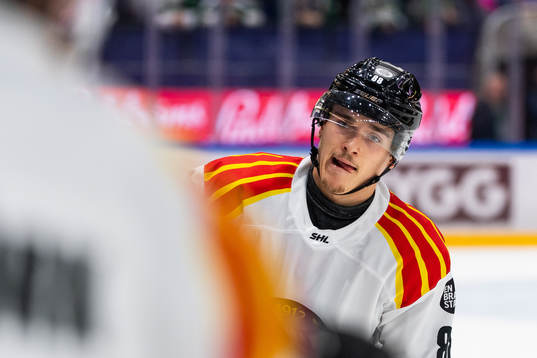 Brynäs Dmytro Timashov jublar