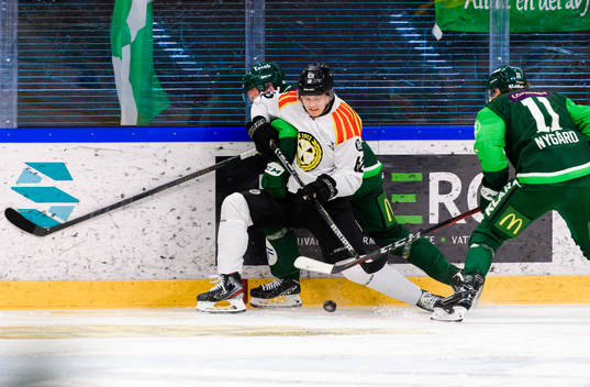 Brynäs Tom Hedberg