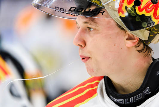 Brynäs målvakt Veini Vehviläinen