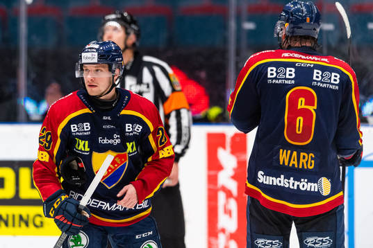 Djurgårdens Sebastian Strandberg deppar