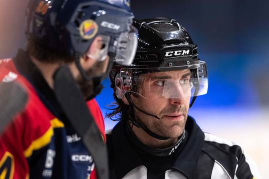 Domare Mikael Sjöqvist