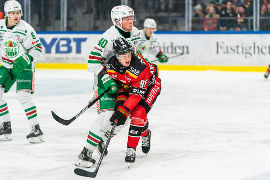 Bläddra bland fler bilder av Ishockey, SHL, Luleå - Rögle