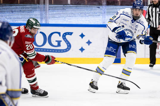Leksands Lian Bichsel