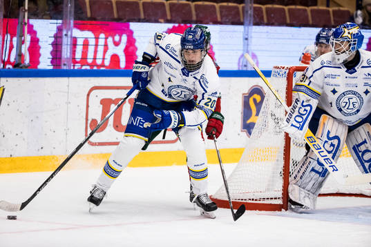 Leksands Lian Bichsel