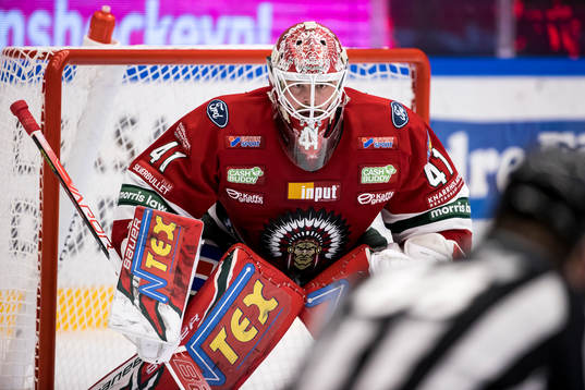 Frölundas målvakt Niklas Rubin
