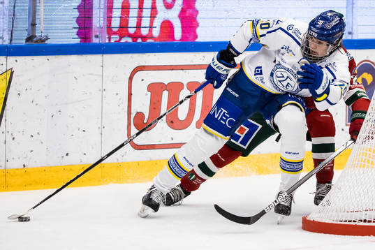 Leksands Lian Bichsel