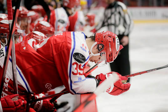 Timrås Ty Rattie deppar