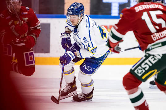 Leksands Carter Ashton
