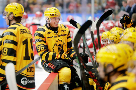 Skellefteås Rickard Hugg