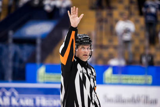 Domare Mikael Nord