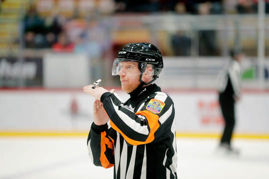 Domare Mikael Holm