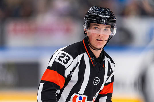 Domare Alexander Österberg