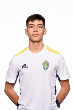 Arvin Davoudi-Kia i P15-landslaget