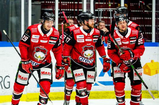 Malmö Redhawks Eric Engstrand jublar