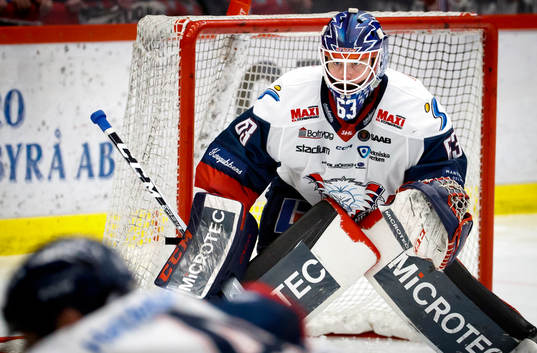 Linköpings målvakt Marcus Högberg