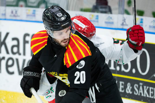 Brynäs Oula Palve