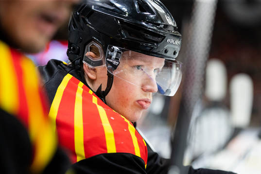 Brynäs Julius Bergman