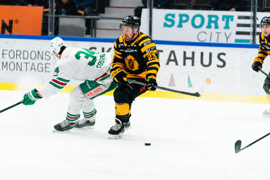 Skellefteås Adam Mascherin och Rögles Adam Edström