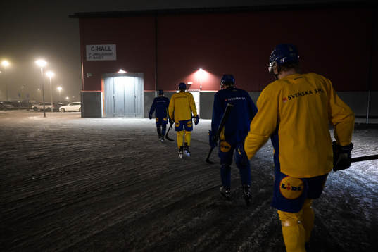 Players of the Swedish under-20 national ice hockey team
