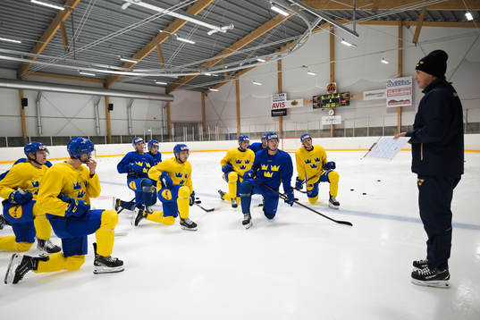 Players of the Swedish under-20 national ice hockey team