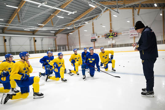 Players of the Swedish under-20 national ice hockey team