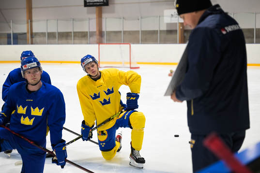 Albert Sjöberg of the Swedish under-20 national ice hockey