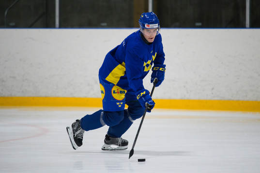 Joel Nyström of the Swedish under-20 national ice hockey