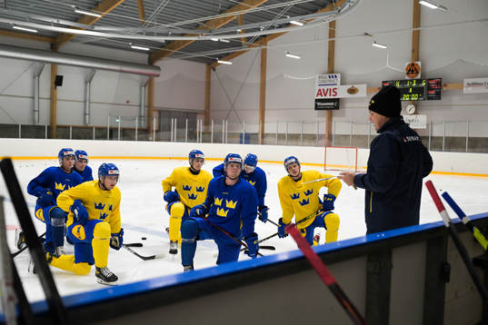 Players of the Swedish under-20 national ice hockey team