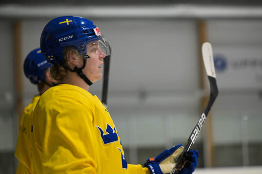 Åke Stakkestad of the Swedish under-20 national ice hockey