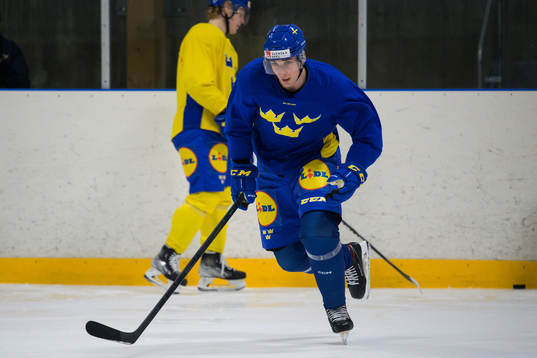 Daniel Torgersson of the Swedish under-20 national ice