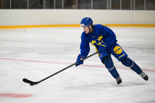 Joel Nyström of the Swedish under-20 national ice hockey