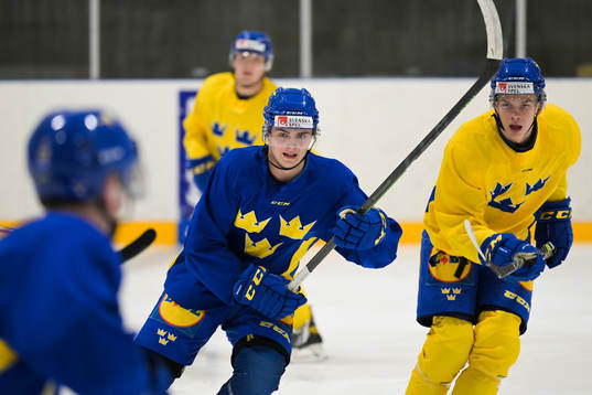 Elliot Ekmark and Albert Sjöberg of the Swedish under-20