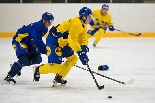 Albert Sjöberg of the Swedish under-20 national ice hockey