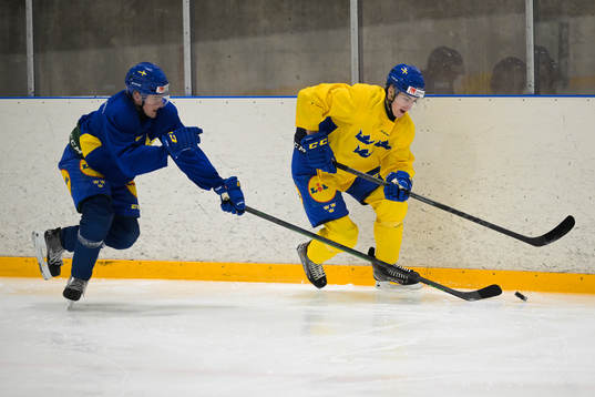 Joel Nyström and Daniel Ljungman of the Swedish under-20
