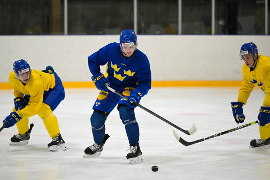 Elliot Ekmark of the Swedish under-20 national ice hockey