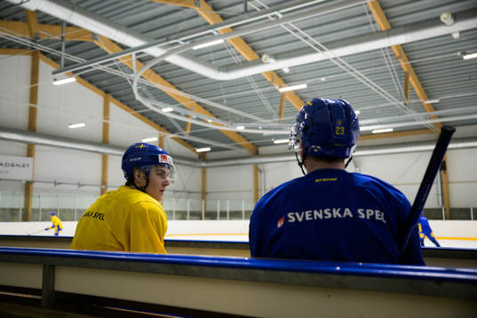 Daniel Ljungman and Isak Rosén of the Swedish under-20