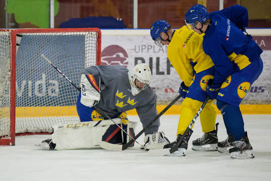 Goaltender Carl Lindbom, Oskar Magnusson and Elias Stenman