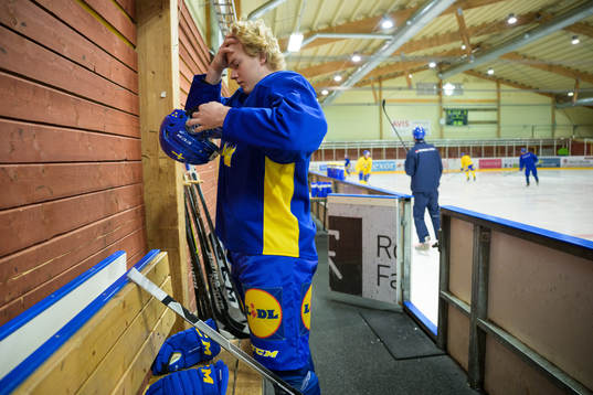 Theodor Niederbach of the Swedish under-20 national ice