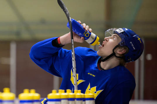 Simon Edvinsson of the Swedish under-20 national ice hockey