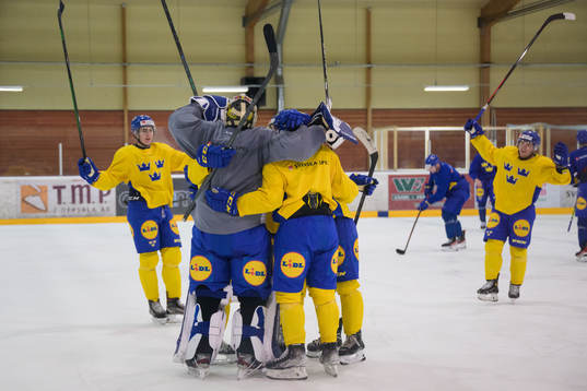 Players of the Swedish under-20 national ice hockey team