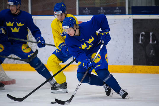 Theodor Niederbach of the Swedish under-20 national ice