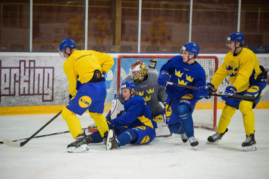 Oskar Magnusson, Theodor Niederbach, goaltender Jesper