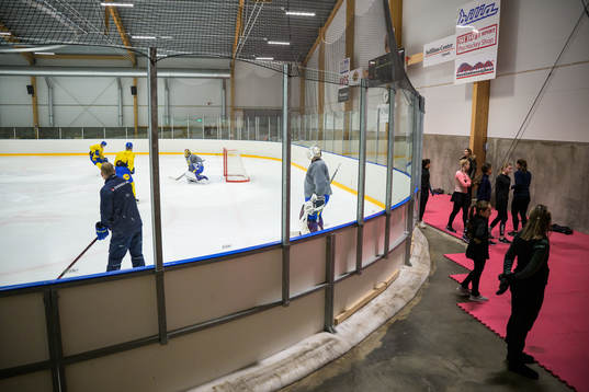Players of the Swedish under-20 national ice hockey team