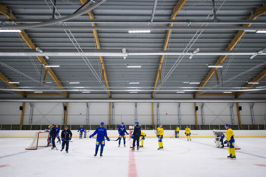 Players of the Swedish under-20 national ice hockey team