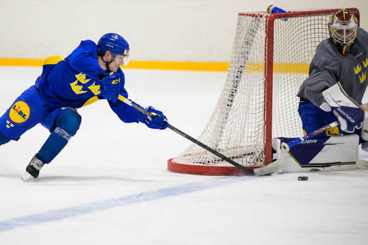 William Eklund and goaltender Jesper Wallstedt of the