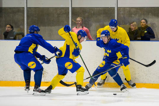 Elias Stenman, Oskar Magnusson, Theodor Niederbach and
