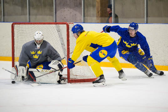 Goaltender Carl Lindbom, Åke Stakkestad and Anton Olsson