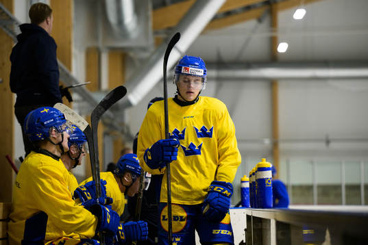 Måns Forsfjäll of the Swedish under-20 national ice