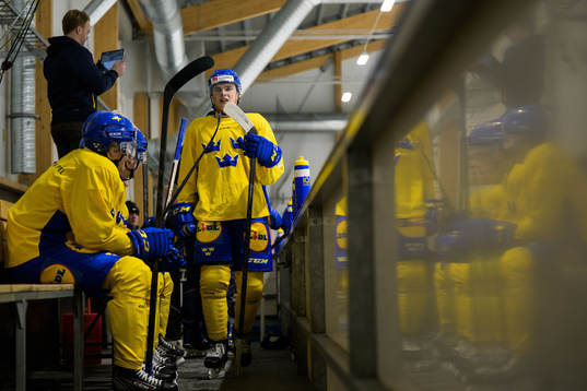 Elliot Ekmark of the Swedish under-20 national ice hockey