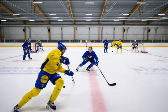 Måns Forsfjäll and Theodor Niederbach of the Swedish
